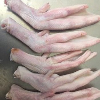 Patas de Pato Congeladas HalaL
