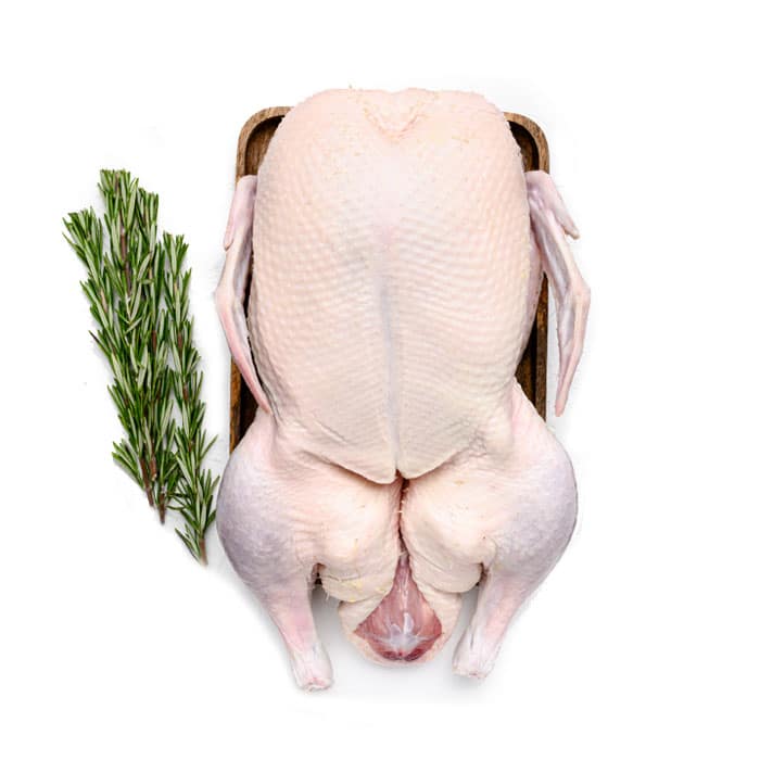 Frozen Duck